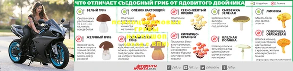 спайс Алзамай