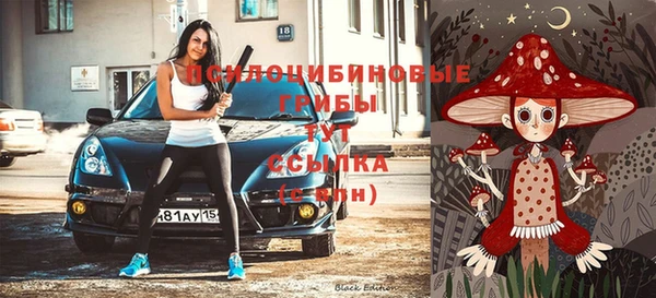 спайс Алзамай