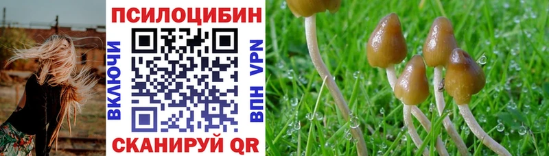 Галлюциногенные грибы Magic Shrooms Цоци-Юрт